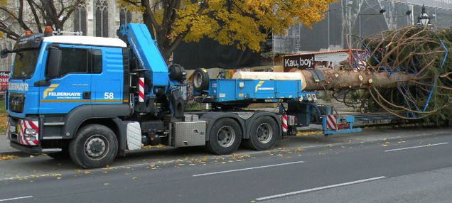 Slide Wiener Weihnachtsbaum transportiert von Felbermayr