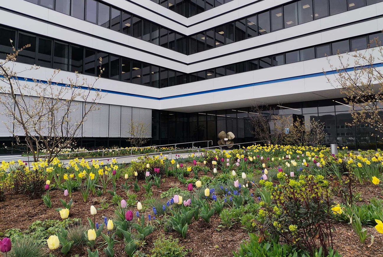 Begrünung einer Tiefgarage eines Gewerbeobjektes vorwiegend mit Tulpen 