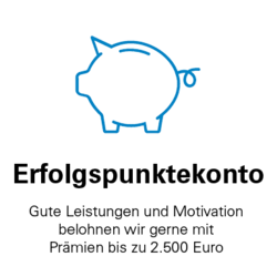 Icon Erfolgspunktekonto
