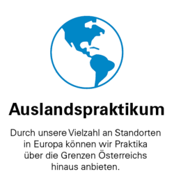 Icon Auslandspraktikum